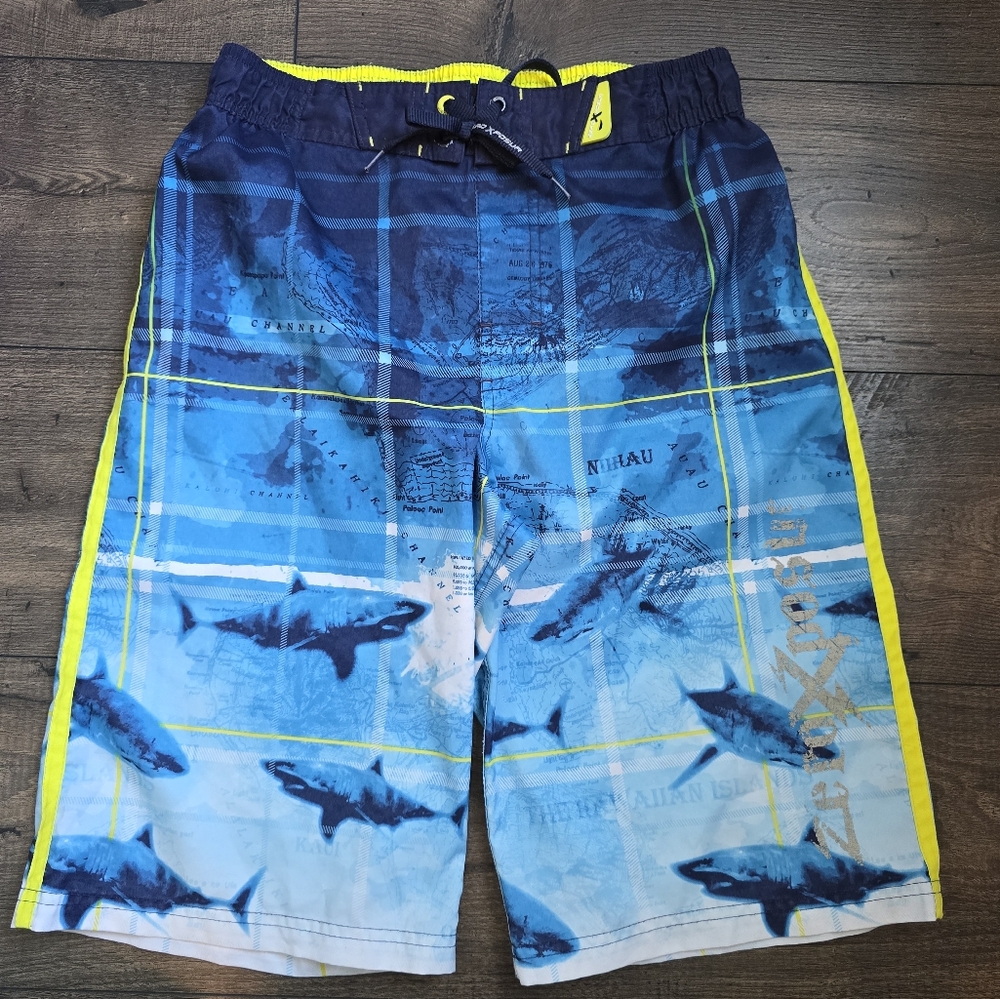 ZeroXposur Swim Shorts